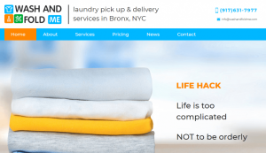 wash and fold me laundy case studies