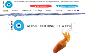case studies dimaco web website design and website building